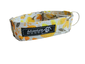 Lemon Zesty Martingale Collar