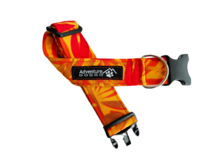 Sunkist Dress Collar