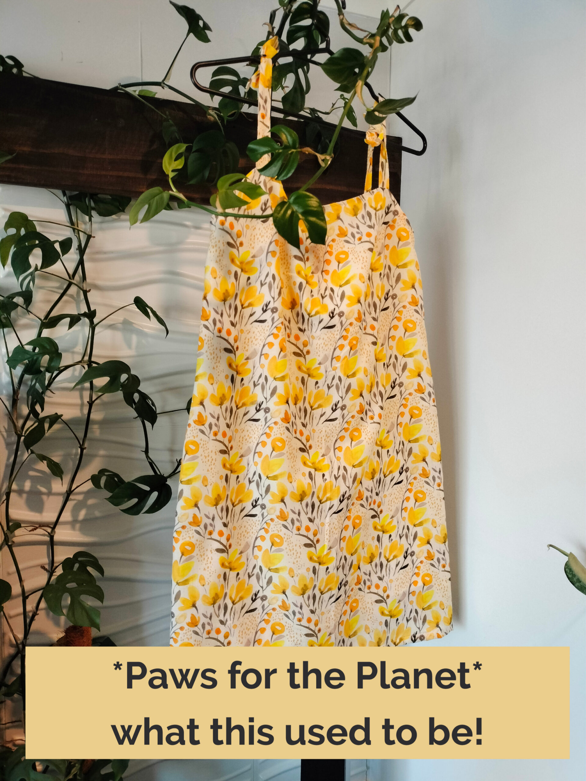 Lemon Zesty Martingale Dress Collar - Image 7