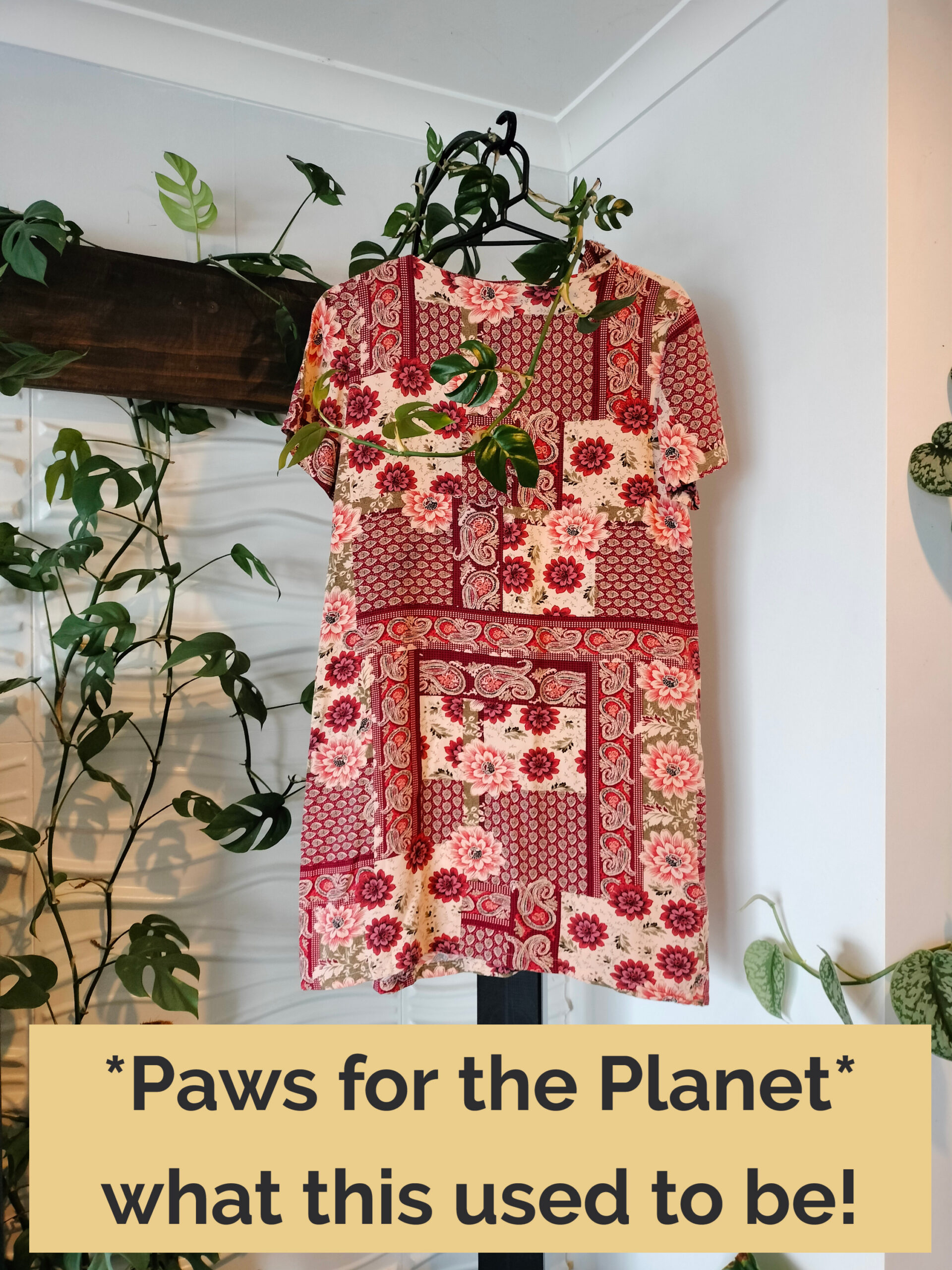 Dress which provided fabric for the Royal range