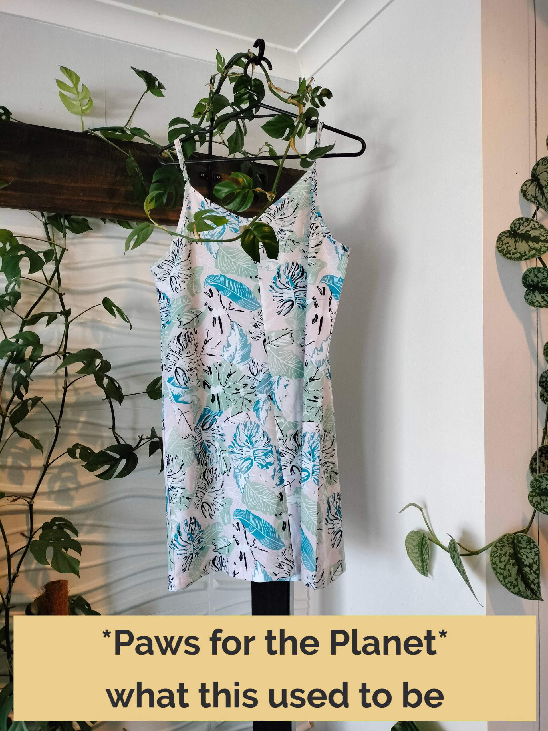 Dress that provided the fabric for this range