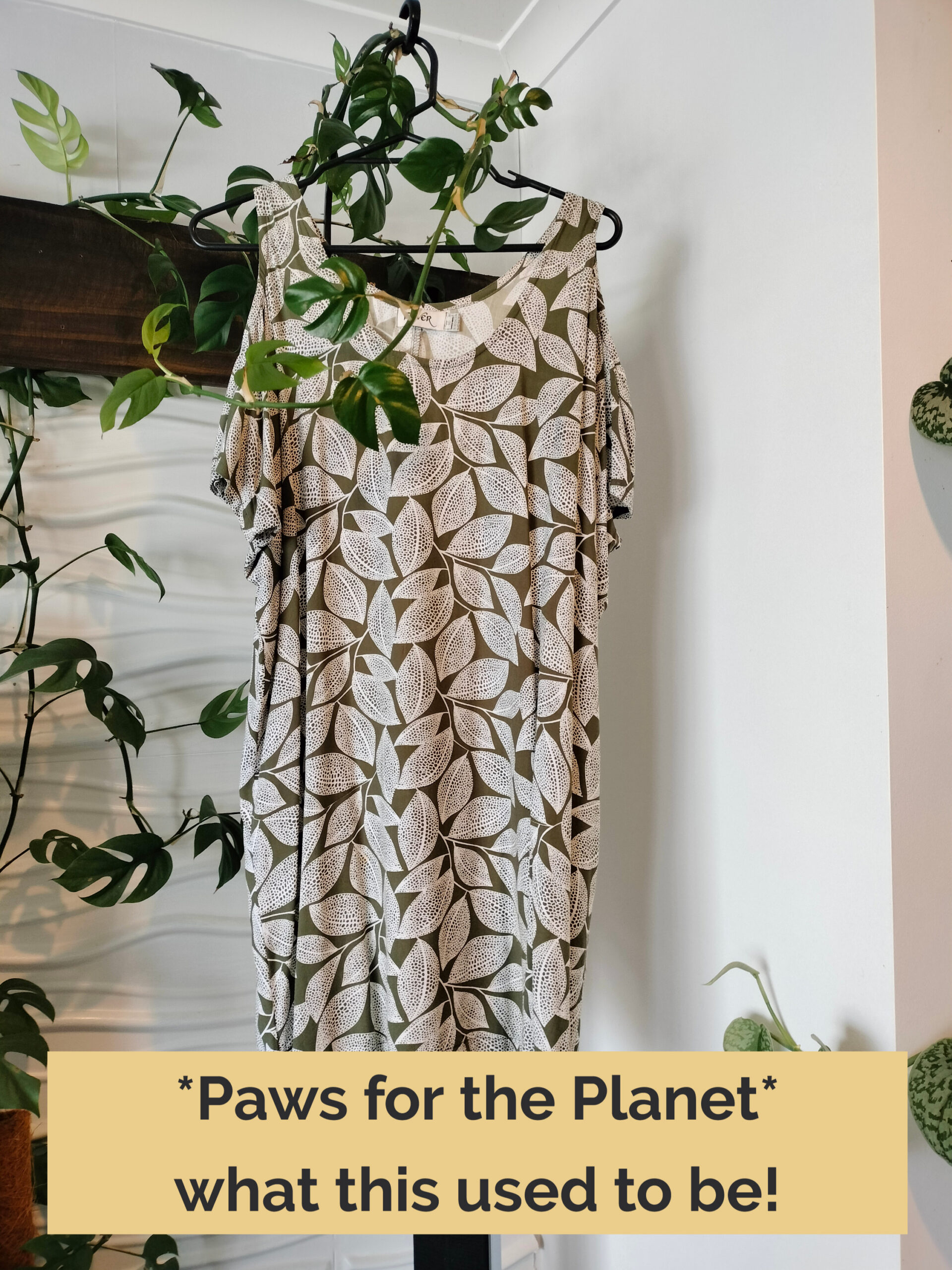 Dress that provided fabric for the range