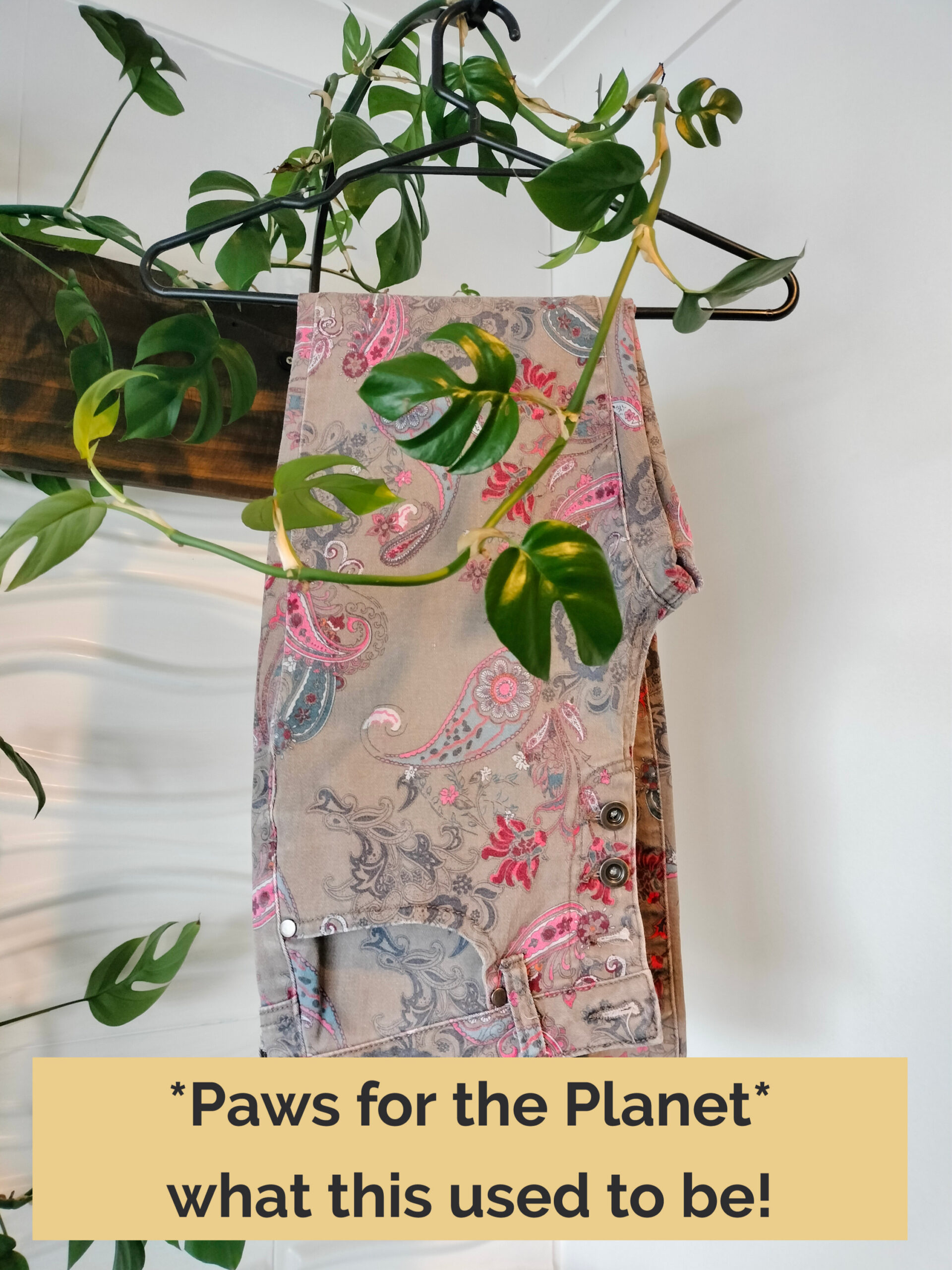 Jeans that provided the fabric for the range