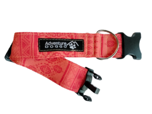 Tangerine Dress Collar