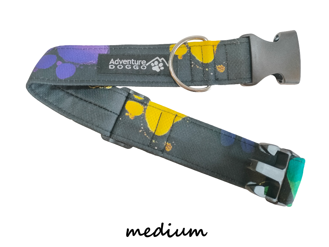 Darth Paw Dress Collar, size medium, shown unclasped