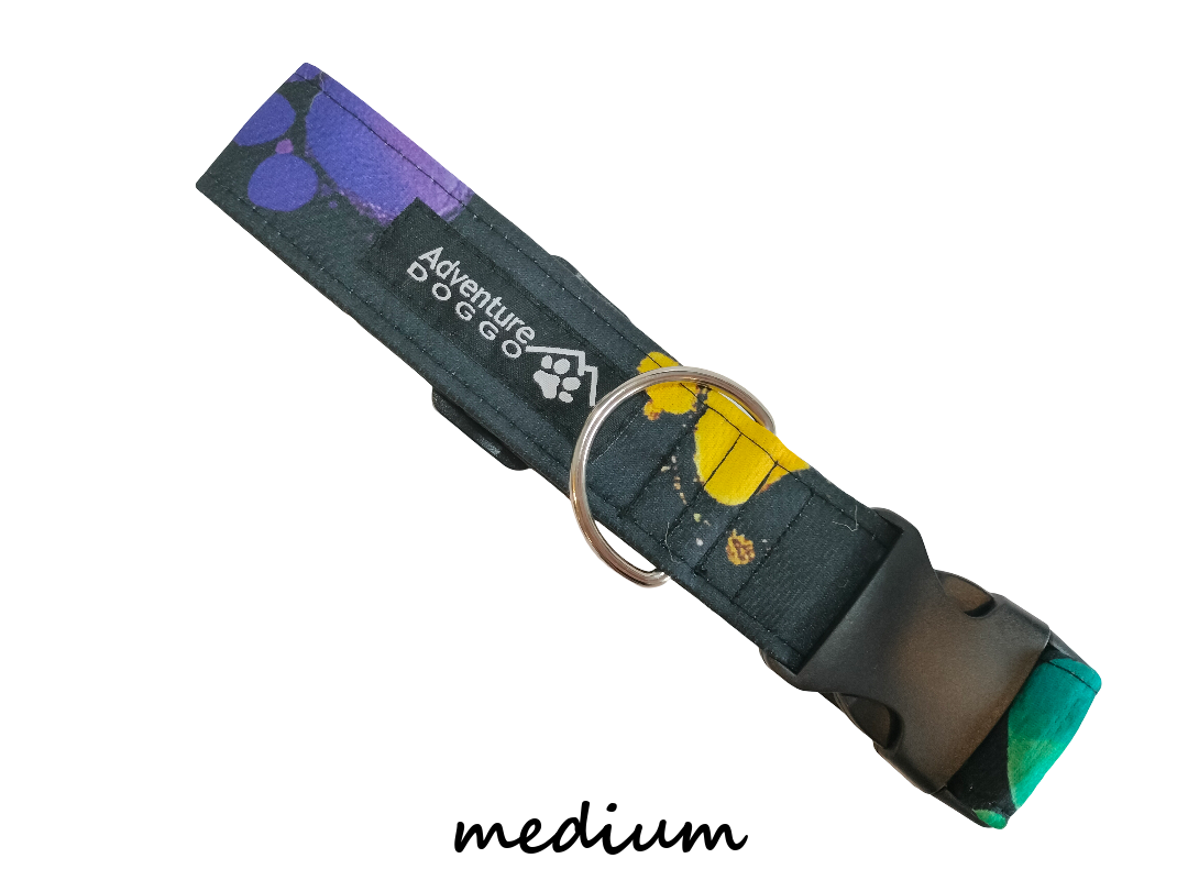 Darth Paw Dress Collar, size medium, shown clasped