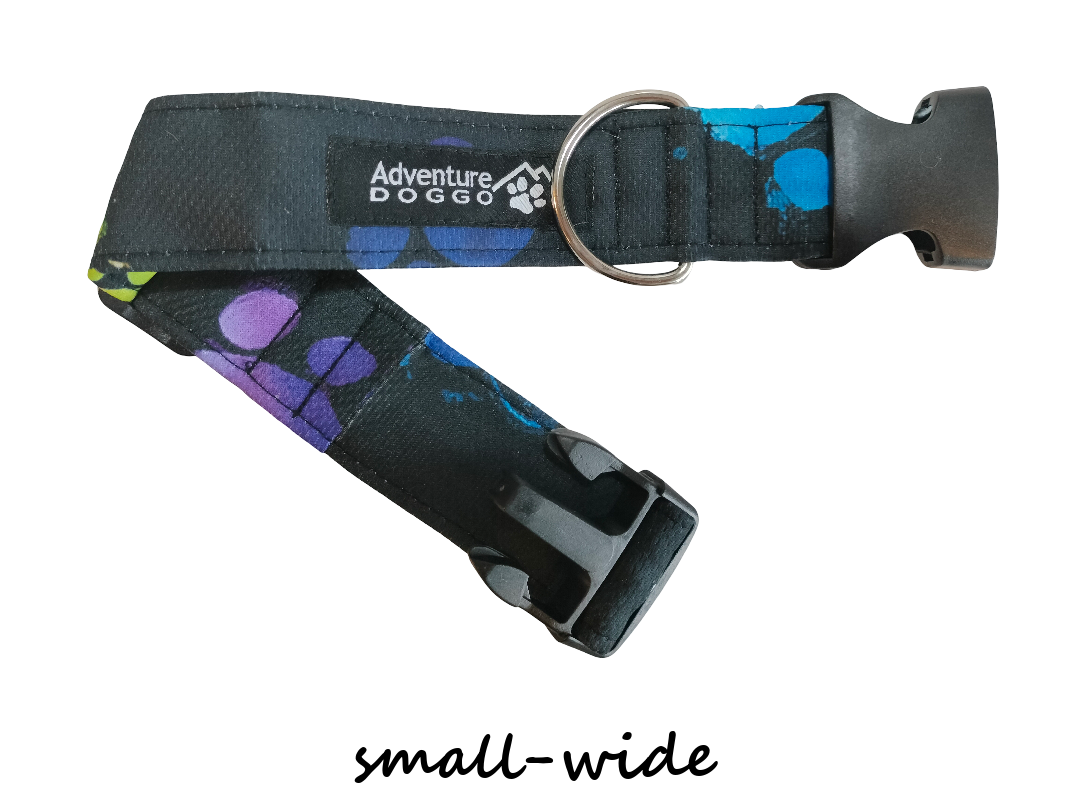 Darth Paw Dress Collar, size small-wide, shown unclasped