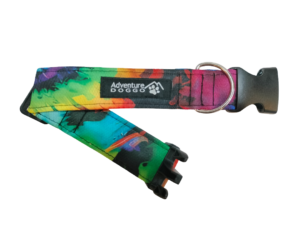 Woofstock Dress Collar