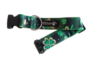 Paddy's Dress Collar
