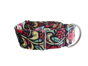 Tuti Fruiti Martingale Dress Collar