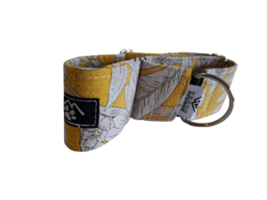 Sunshine Martingale Dress Collar