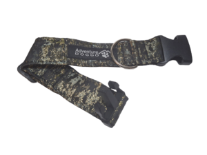 Shimmer Dress Collar