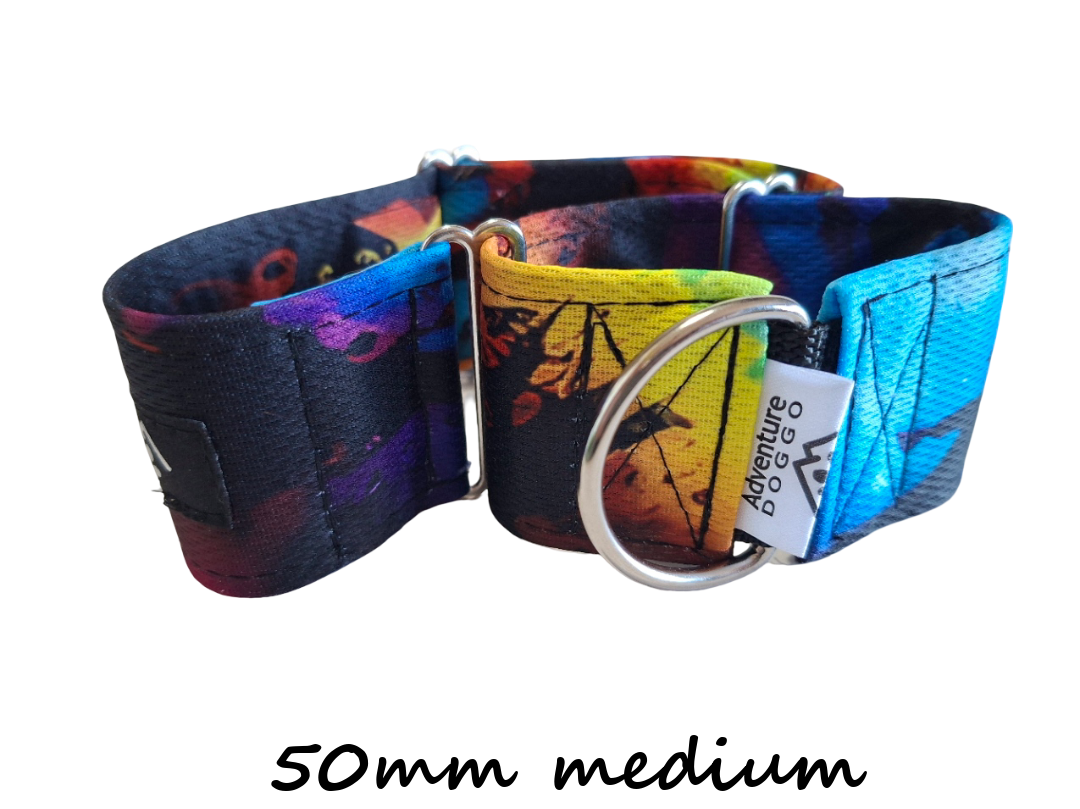 Woofstock Martingale Dress Collar - 50mm medium