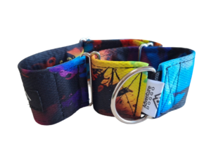 Woofstock Martingale Dress Collar
