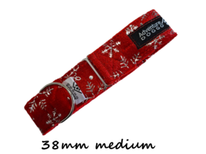Jingle All the Way Martingale Dress Collar - SILVER