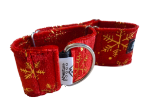 Jingle All the Way Martingale Dress Collar - GOLD